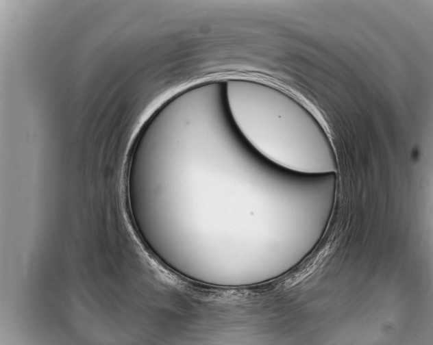 X0000100471533200806130743