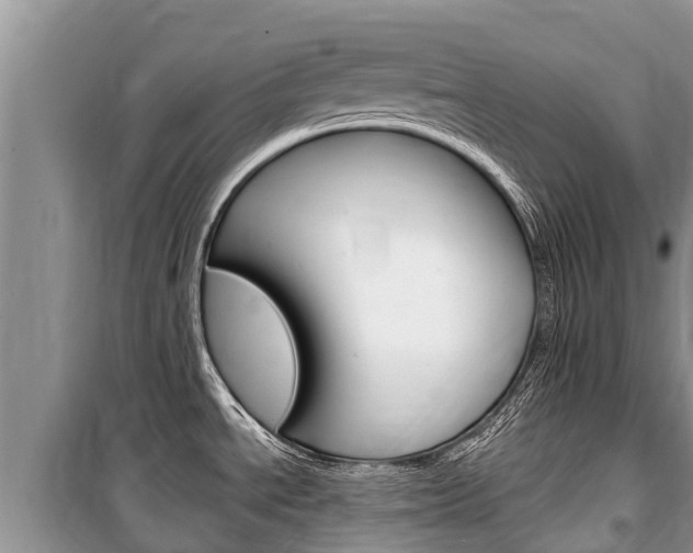 X0000100471534200806130743