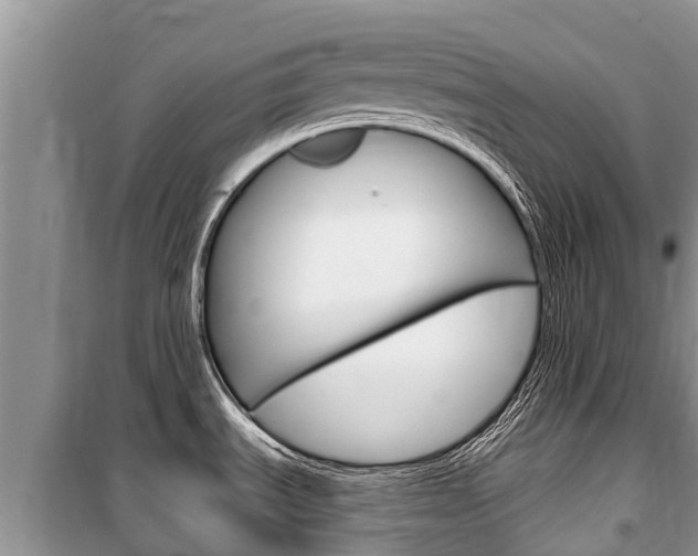 X0000100471535200806130743