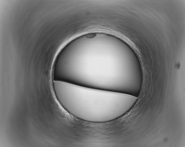 X0000100471536200806130743