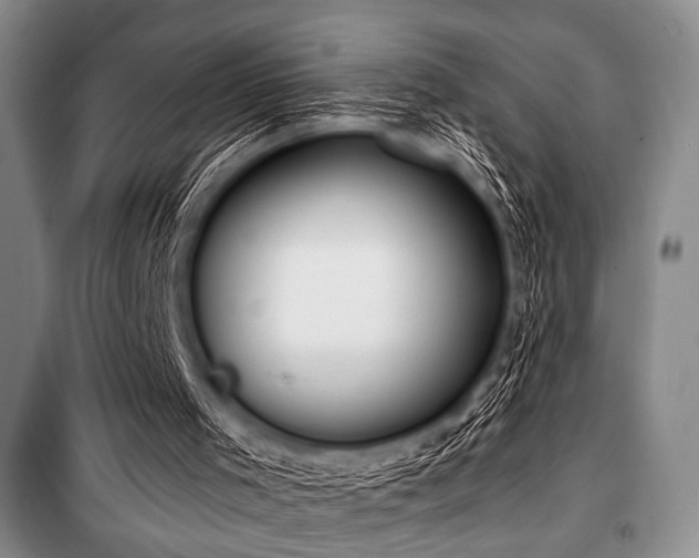 X0000100470001200806131137