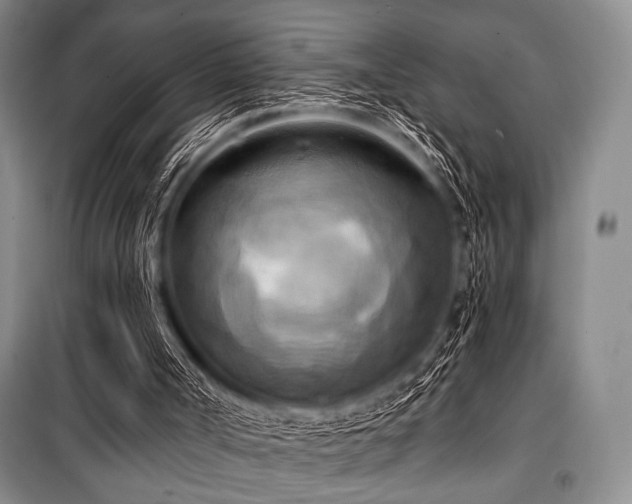 X0000100470002200806131137