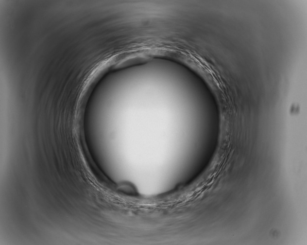 X0000100470003200806131137