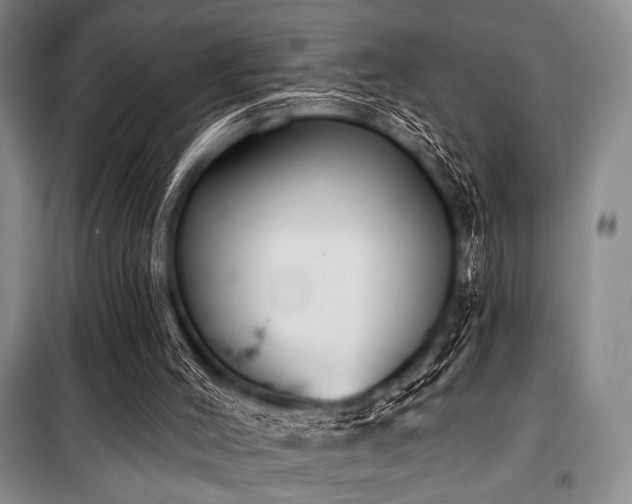 X0000100470004200806131137