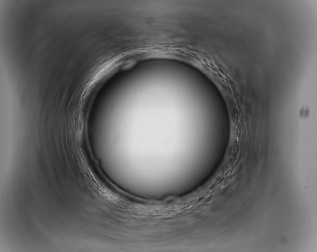 X0000100470005200806131137