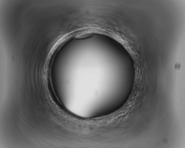 X0000100470007200806131137