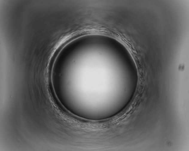 X0000100470008200806131137