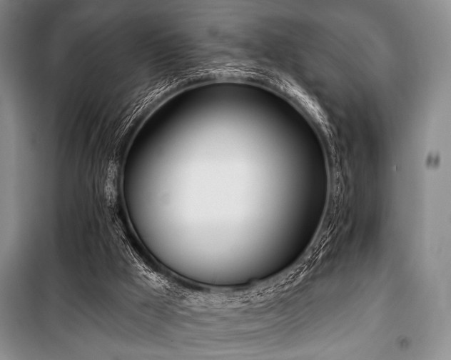 X0000100470009200806131137