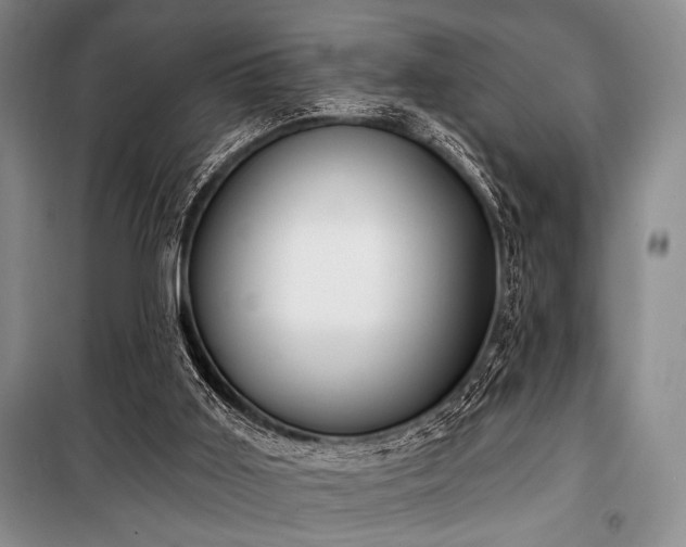 X0000100470011200806131137