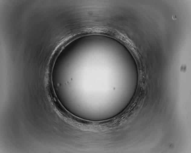 X0000100470012200806131137