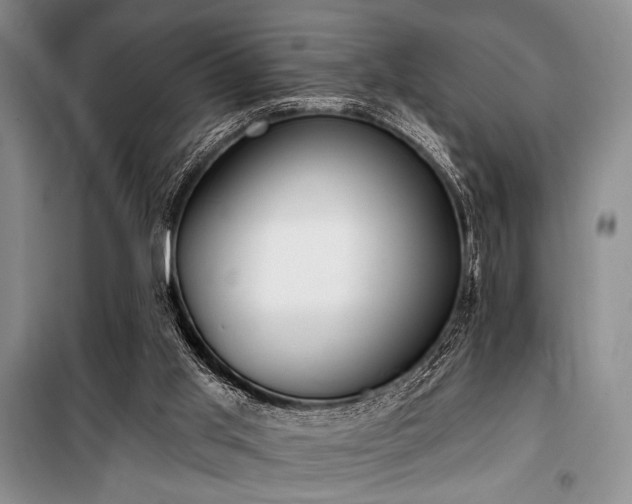 X0000100470013200806131137