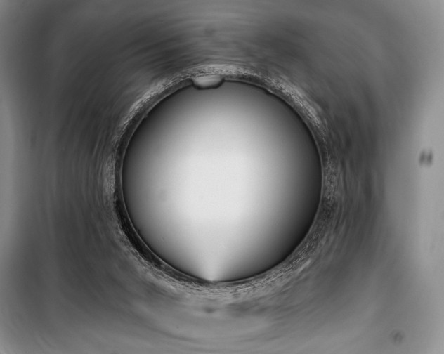 X0000100470015200806131137