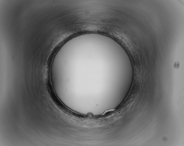 X0000100470016200806131137