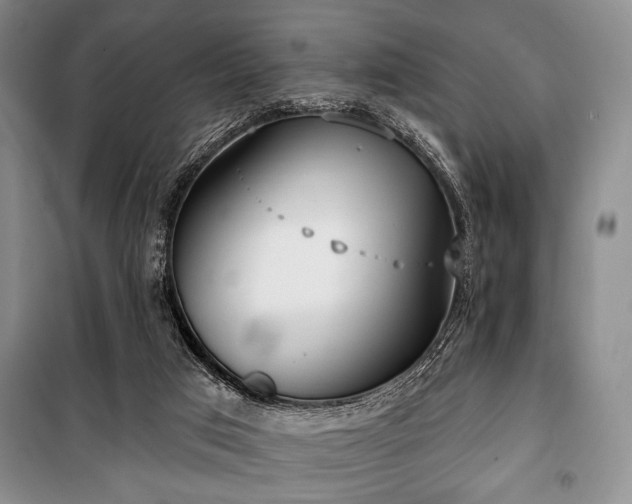 X0000100470017200806131137