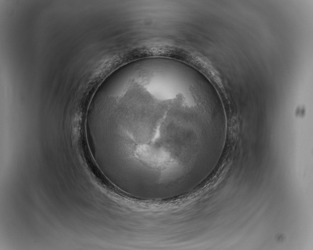 X0000100470018200806131137