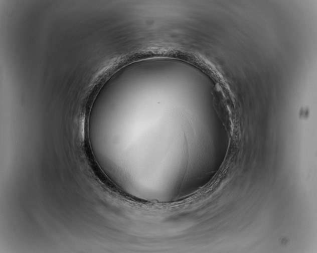 X0000100470019200806131137