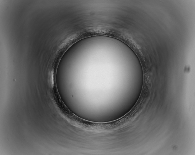 X0000100470020200806131137