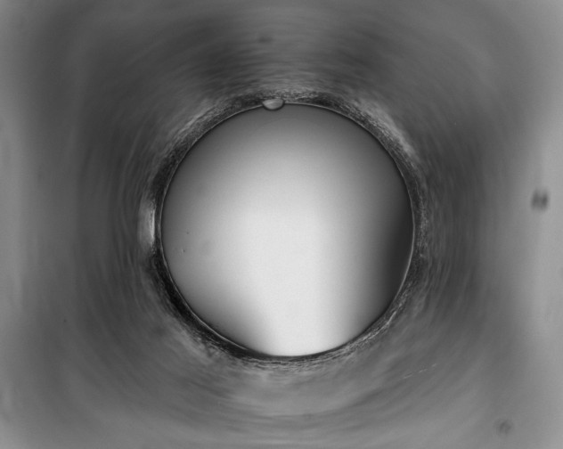 X0000100470021200806131137