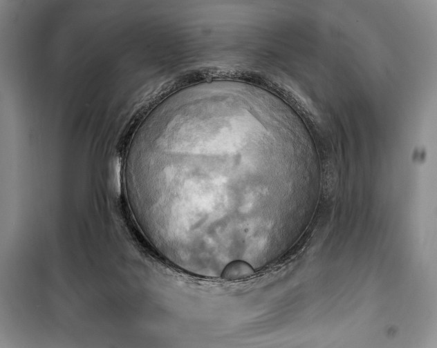 X0000100470022200806131137