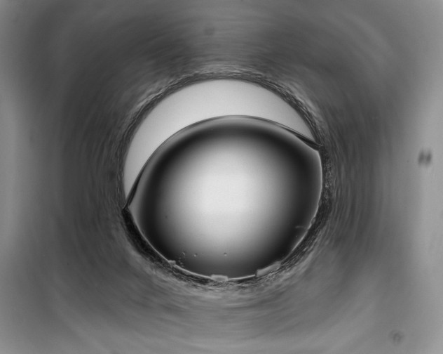 X0000100470024200806131137