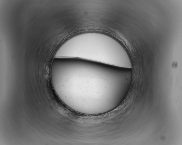 X0000100470025200806131137