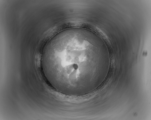 X0000100470026200806131137