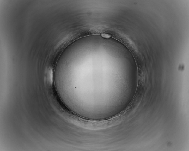 X0000100470027200806131137