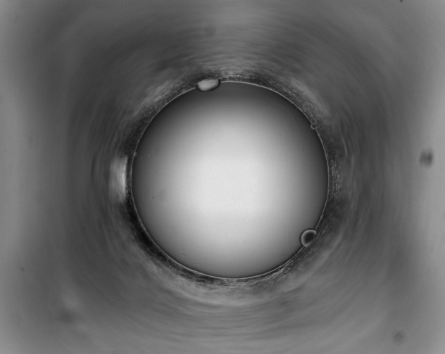 X0000100470028200806131137