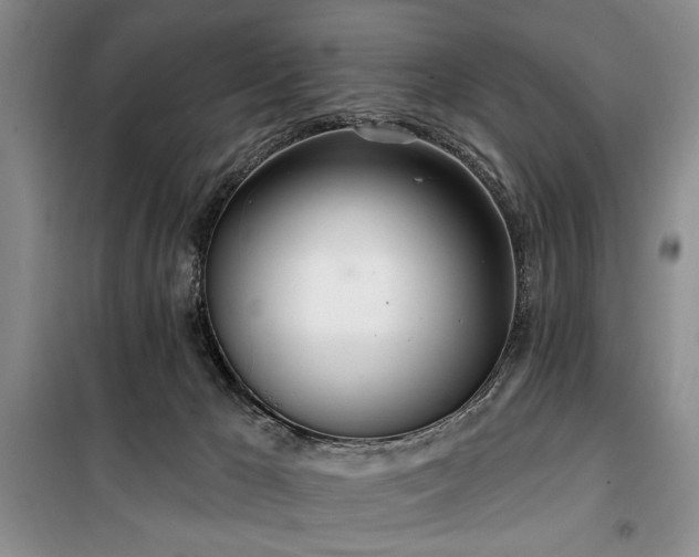 X0000100470029200806131137