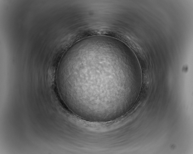 X0000100470030200806131137