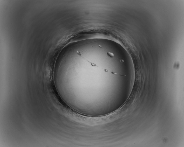 X0000100470031200806131137