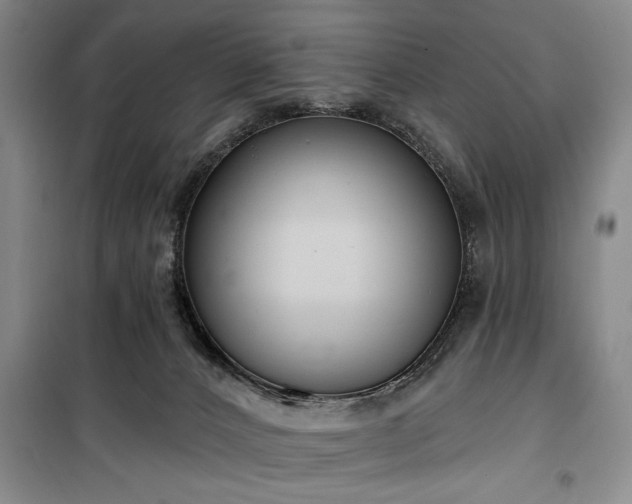 X0000100470032200806131137