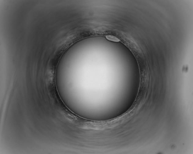 X0000100470033200806131137