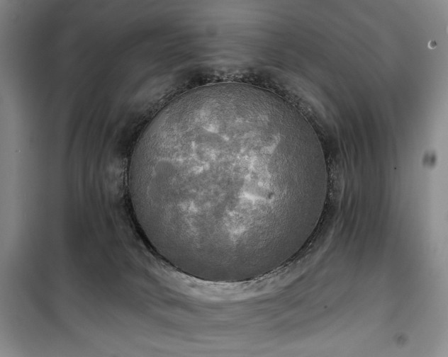 X0000100470034200806131137