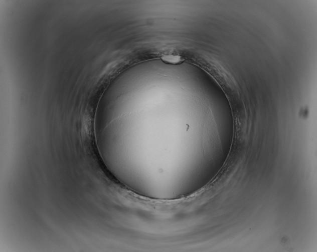 X0000100470035200806131137