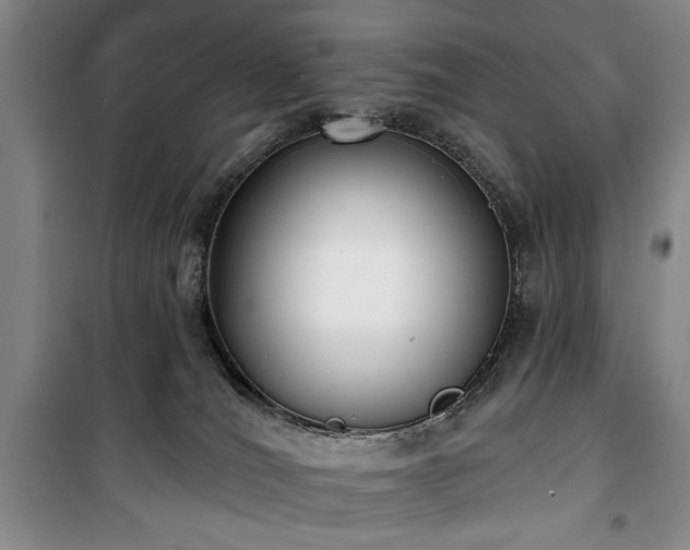 X0000100470036200806131137