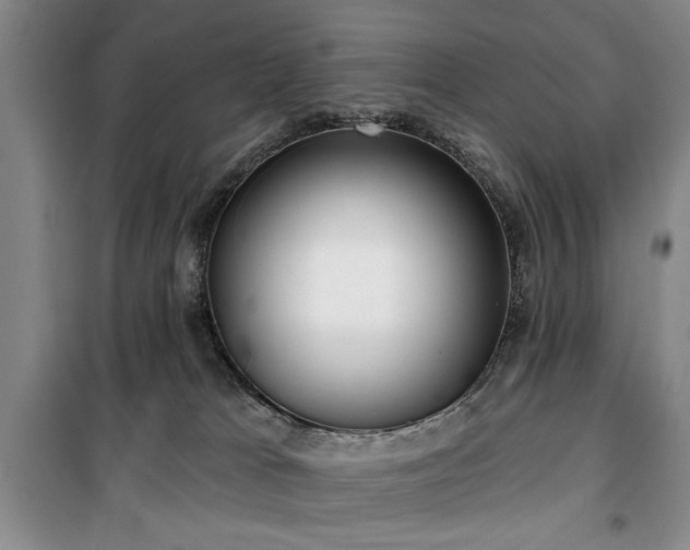 X0000100470037200806131137