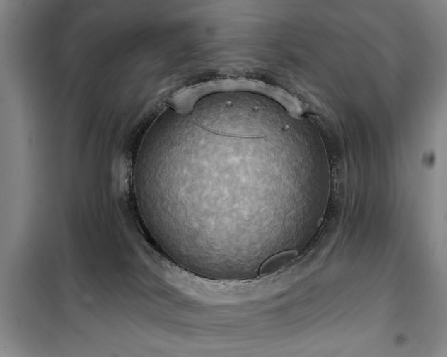 X0000100470038200806131137