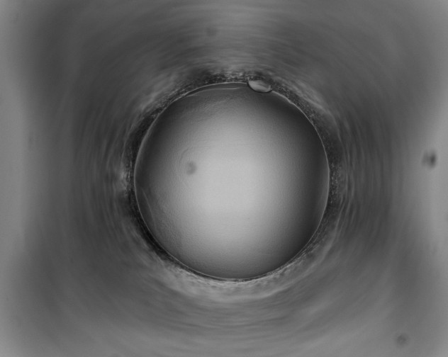 X0000100470039200806131137