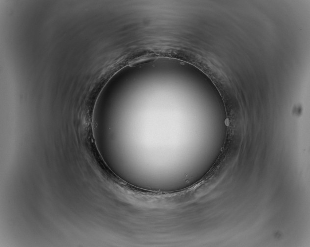 X0000100470040200806131137