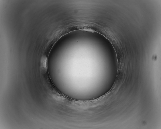 X0000100470041200806131137