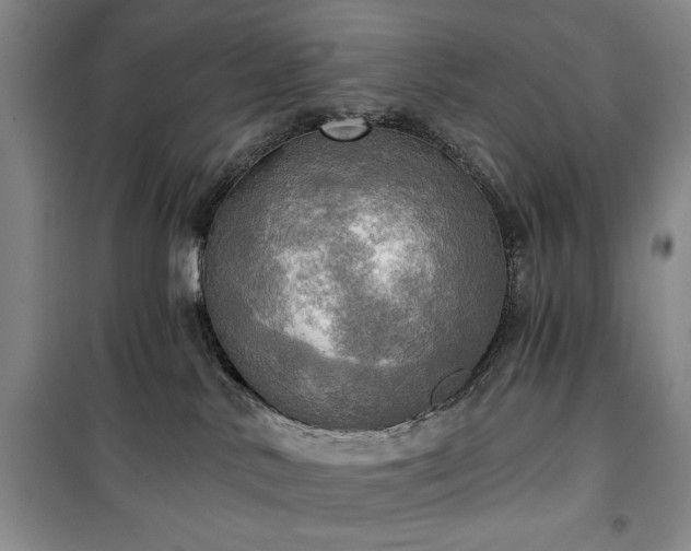 X0000100470042200806131137