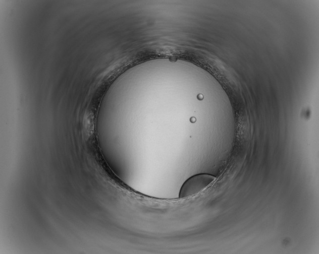 X0000100470043200806131137