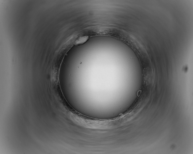 X0000100470044200806131137