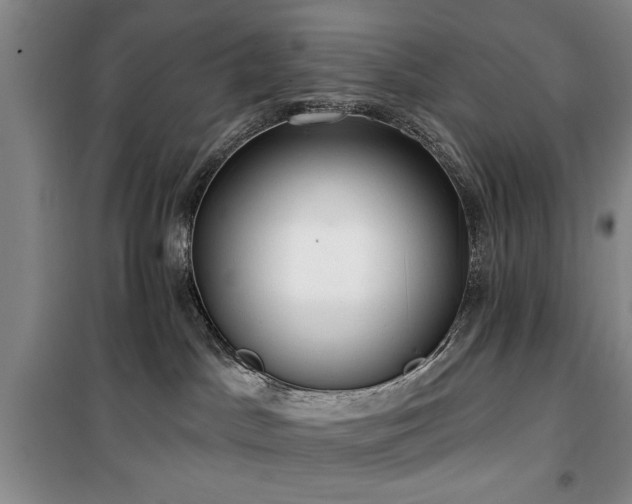 X0000100470045200806131137