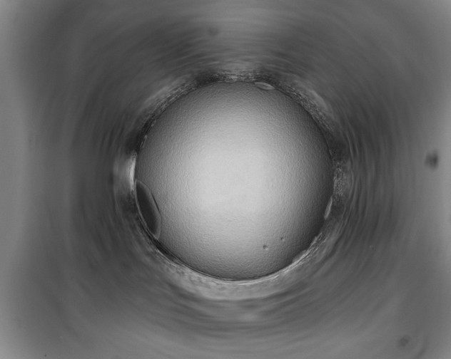 X0000100470047200806131136