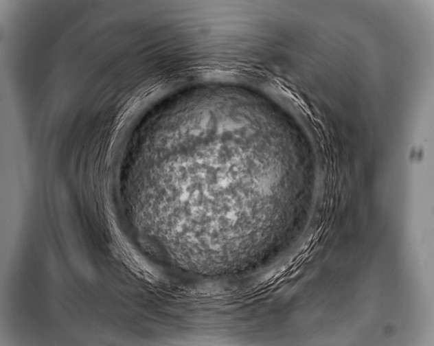 X0000100470049200806131136