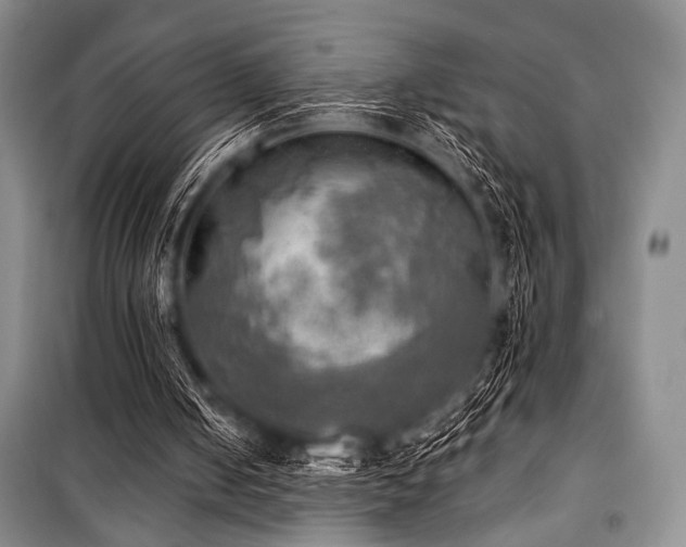 X0000100470050200806131136