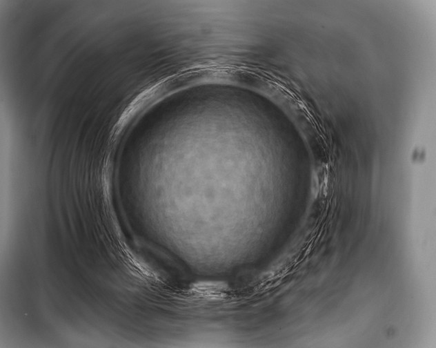 X0000100470051200806131136