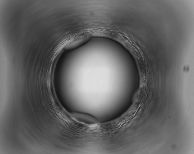 X0000100470052200806131136